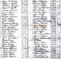 1790 Census
